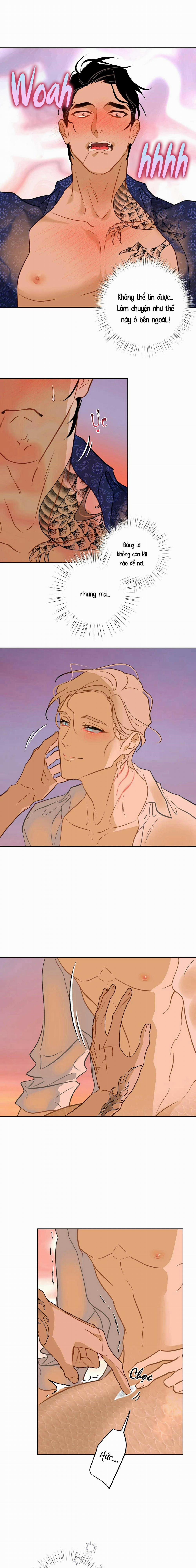 Tình Đầu Của Anh Chủ Quán Sashimi Là Người Cá 15 trang 0