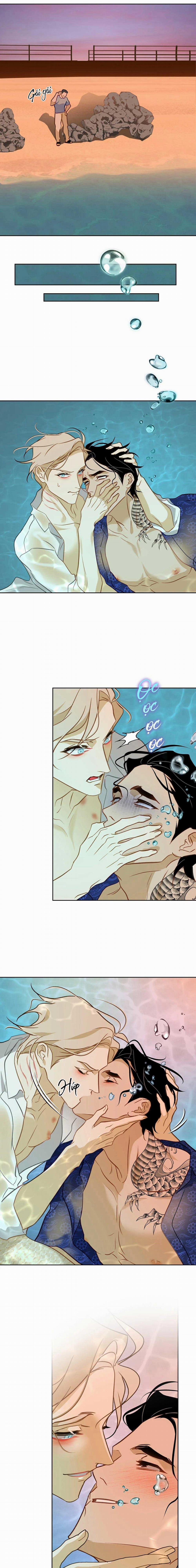 Tình Đầu Của Anh Chủ Quán Sashimi Là Người Cá 15 trang 10