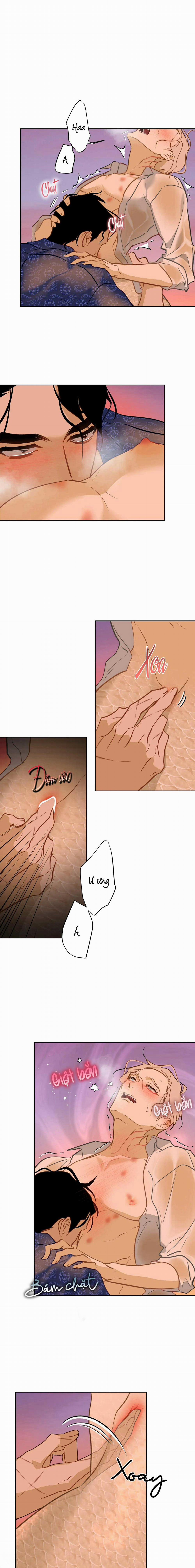 Tình Đầu Của Anh Chủ Quán Sashimi Là Người Cá 15 trang 2