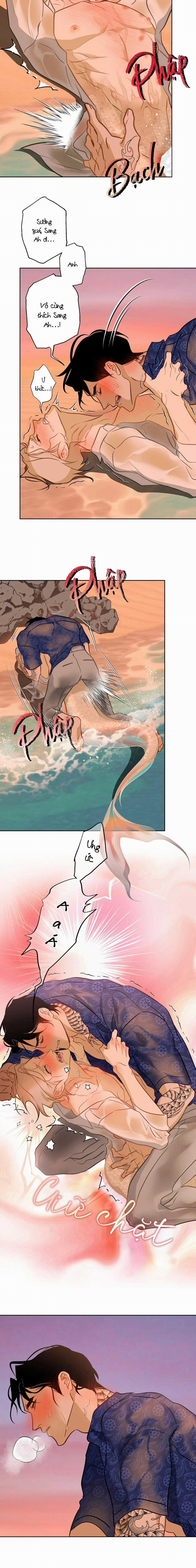 Tình Đầu Của Anh Chủ Quán Sashimi Là Người Cá 15 trang 7