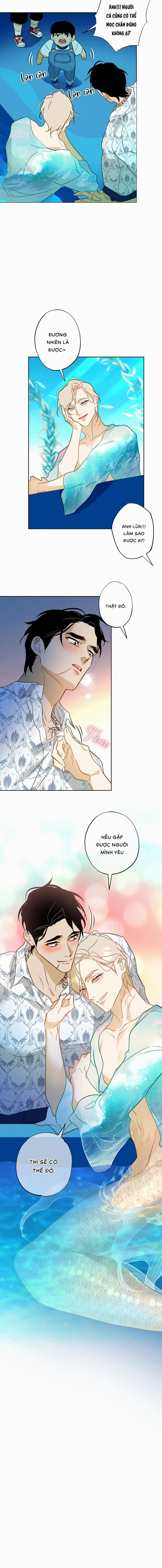 Tình Đầu Của Anh Chủ Quán Sashimi Là Người Cá 16 trang 11