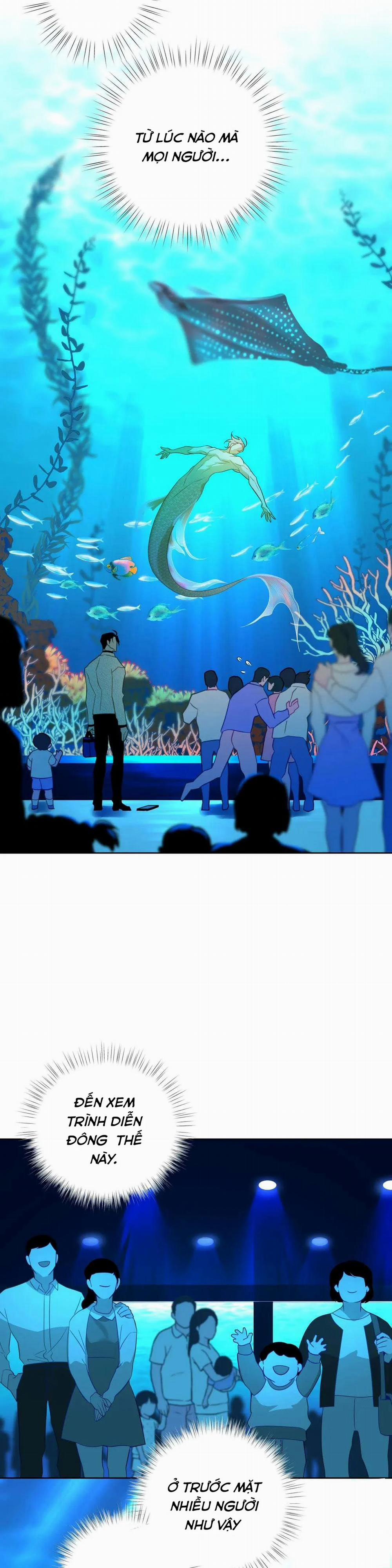 Tình Đầu Của Anh Chủ Quán Sashimi Là Người Cá 2 trang 4