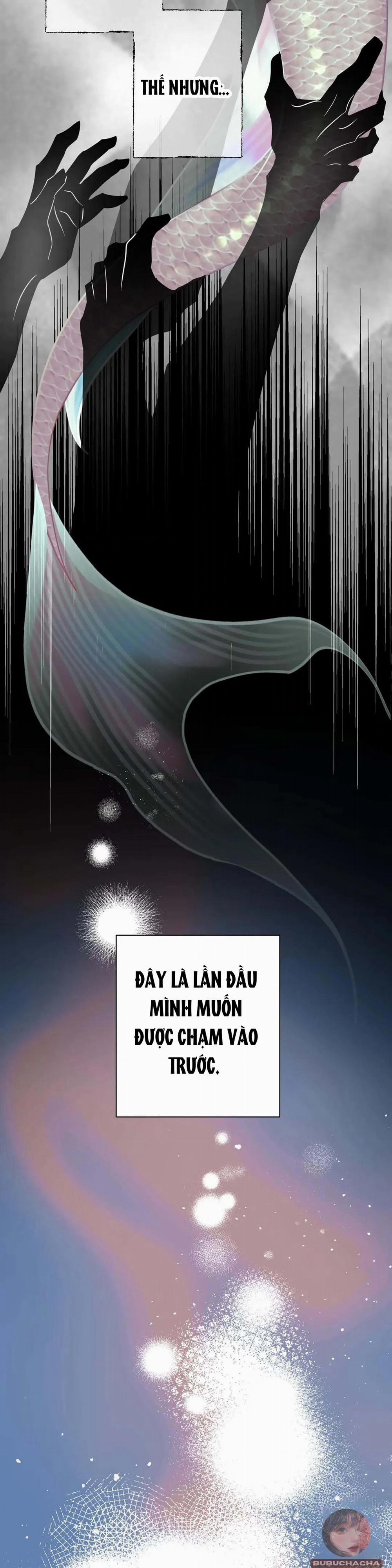 Tình Đầu Của Anh Chủ Quán Sashimi Là Người Cá 3 trang 23