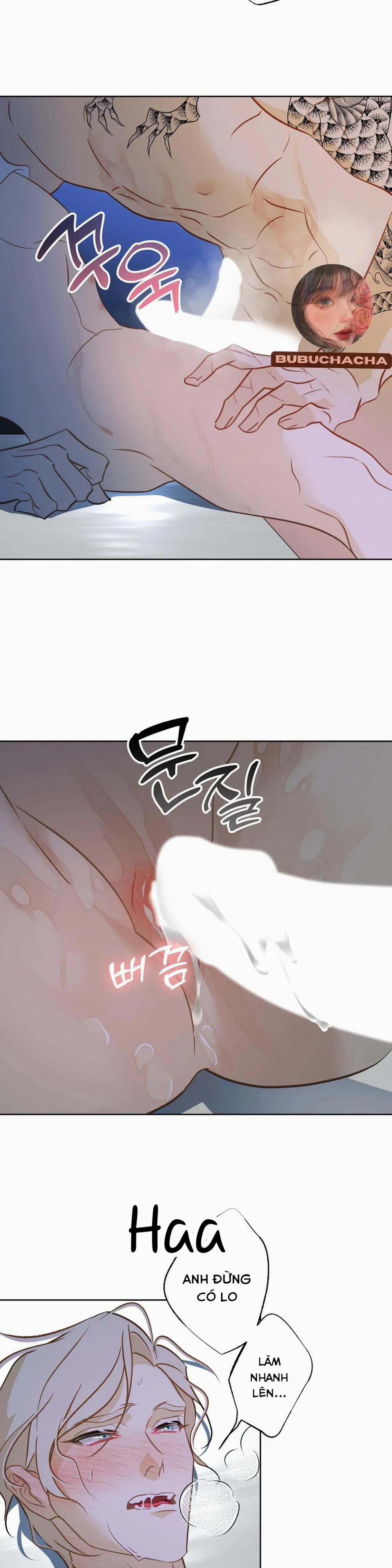 Tình Đầu Của Anh Chủ Quán Sashimi Là Người Cá 4 trang 16