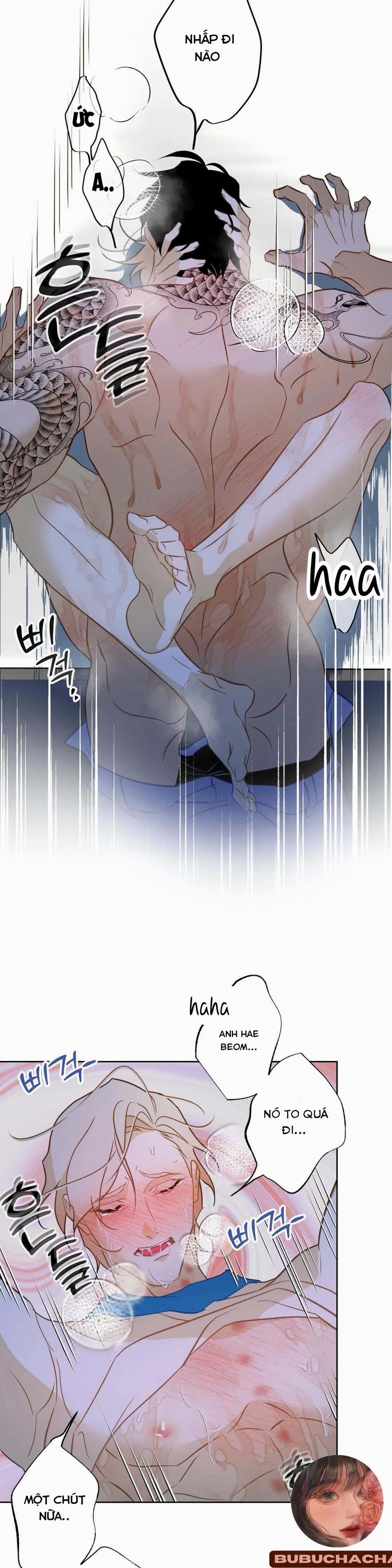 Tình Đầu Của Anh Chủ Quán Sashimi Là Người Cá 4 trang 19