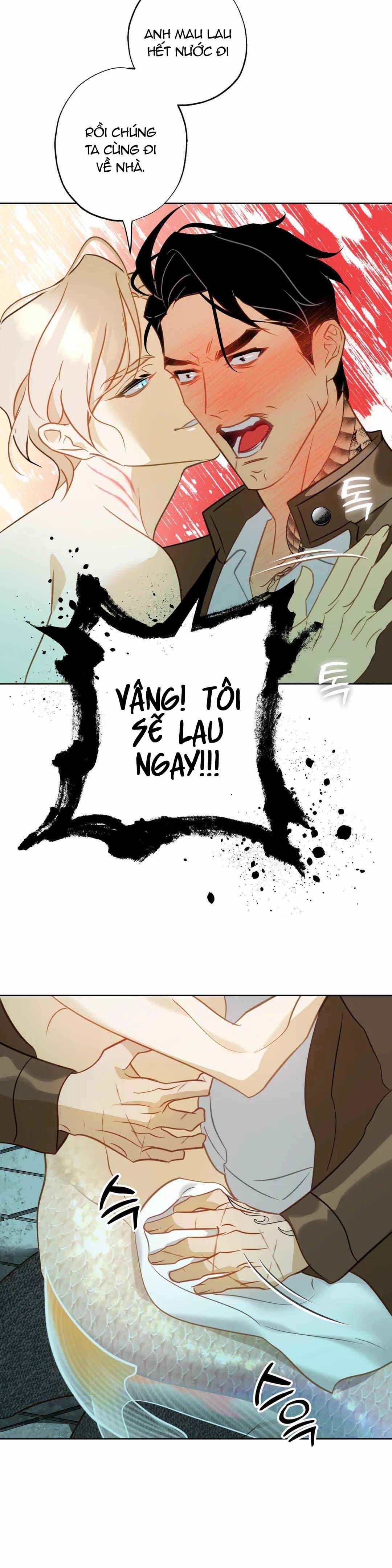 Tình Đầu Của Anh Chủ Quán Sashimi Là Người Cá 5 trang 19