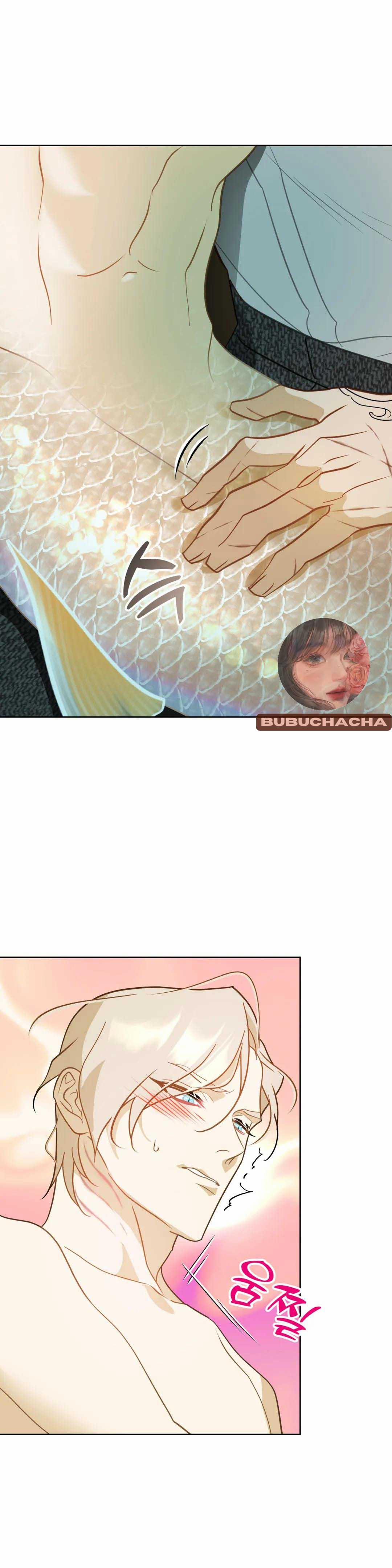 Tình Đầu Của Anh Chủ Quán Sashimi Là Người Cá 5 trang 23