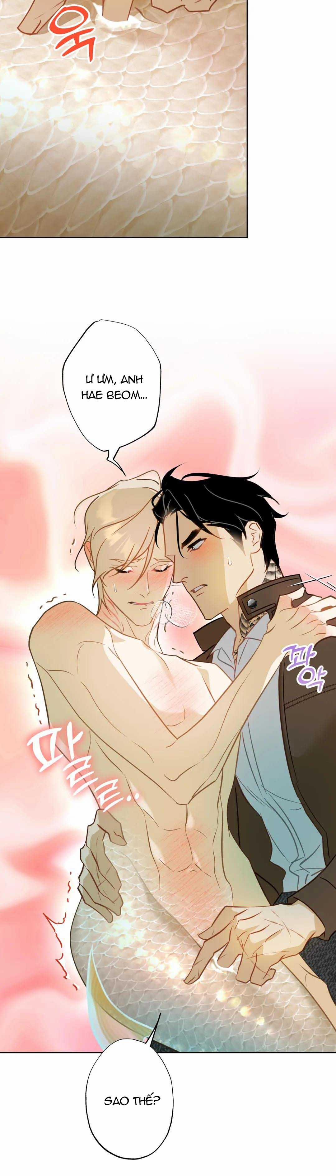 Tình Đầu Của Anh Chủ Quán Sashimi Là Người Cá 5 trang 25