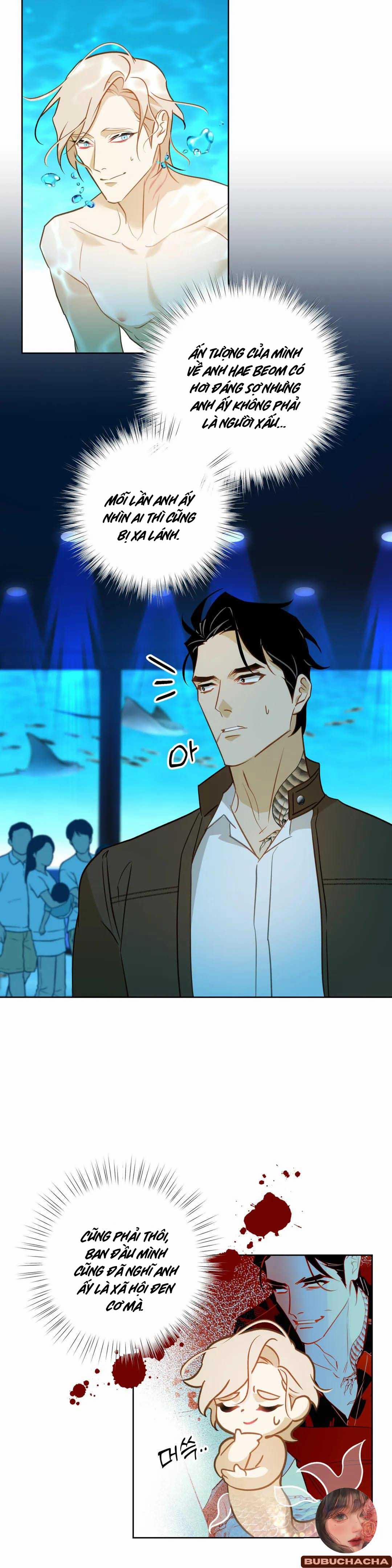 Tình Đầu Của Anh Chủ Quán Sashimi Là Người Cá 5 trang 6