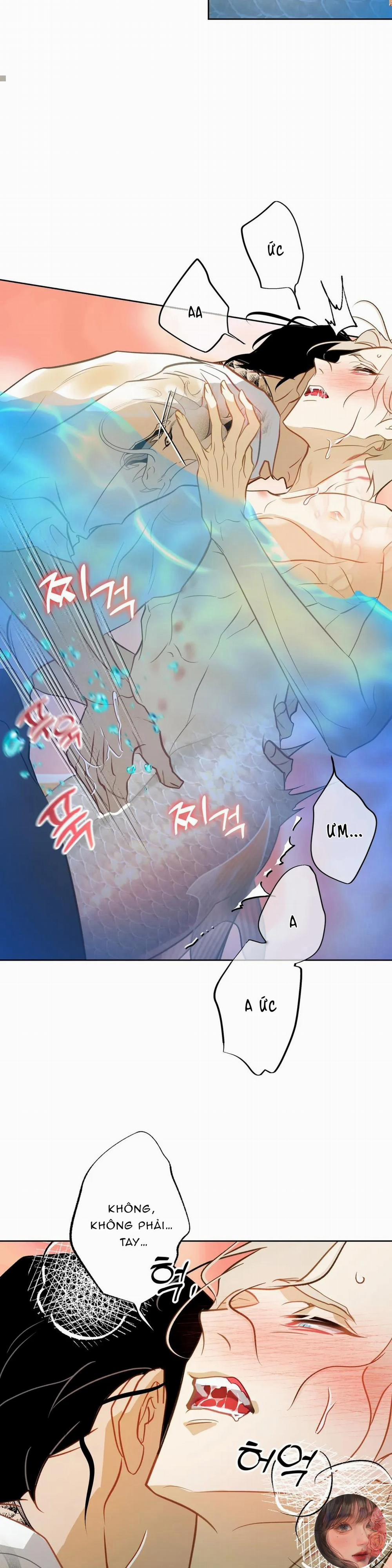 Tình Đầu Của Anh Chủ Quán Sashimi Là Người Cá 6 trang 19