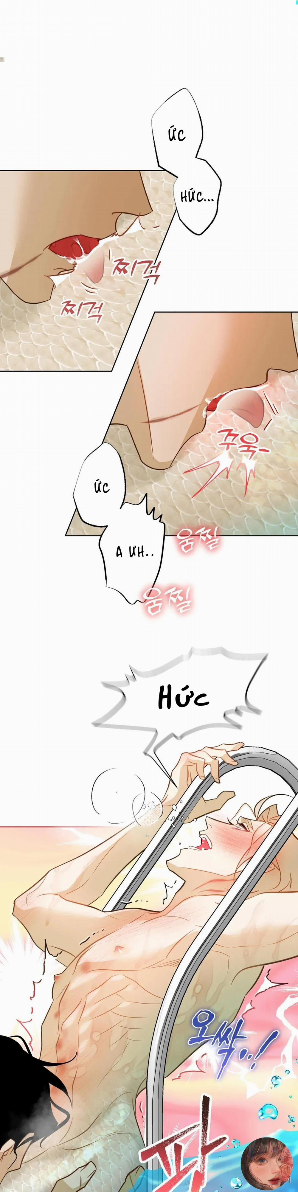 Tình Đầu Của Anh Chủ Quán Sashimi Là Người Cá 6 trang 2