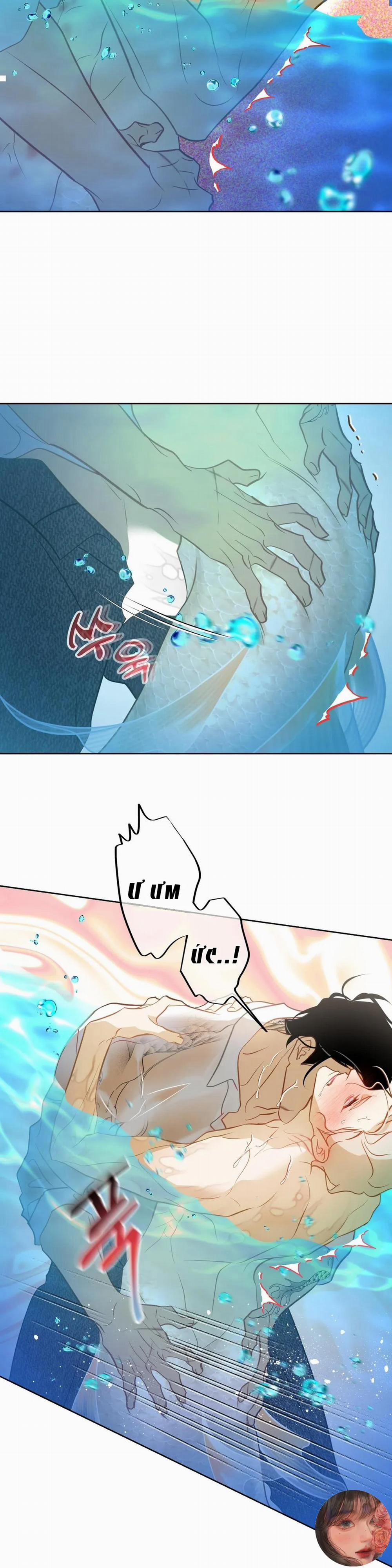 Tình Đầu Của Anh Chủ Quán Sashimi Là Người Cá 6 trang 22