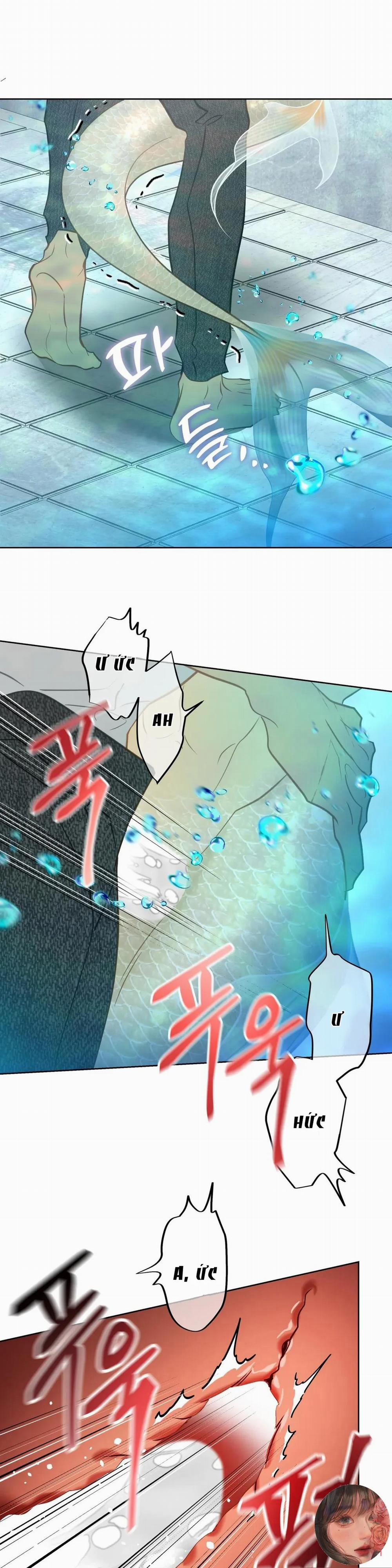 Tình Đầu Của Anh Chủ Quán Sashimi Là Người Cá 6 trang 23