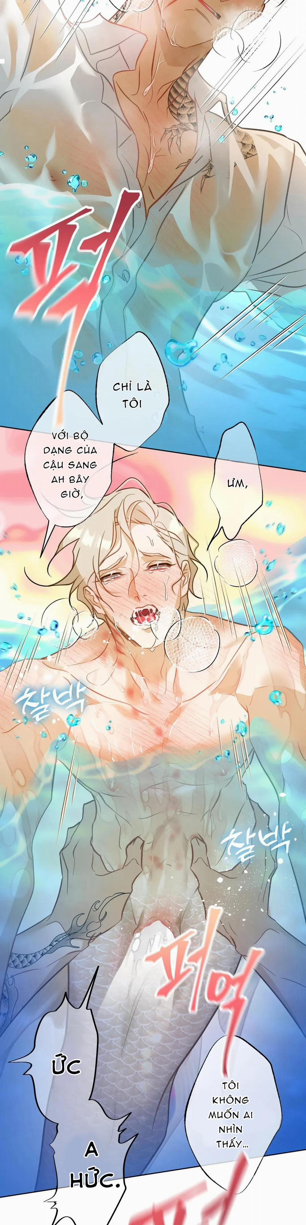 Tình Đầu Của Anh Chủ Quán Sashimi Là Người Cá 6 trang 25