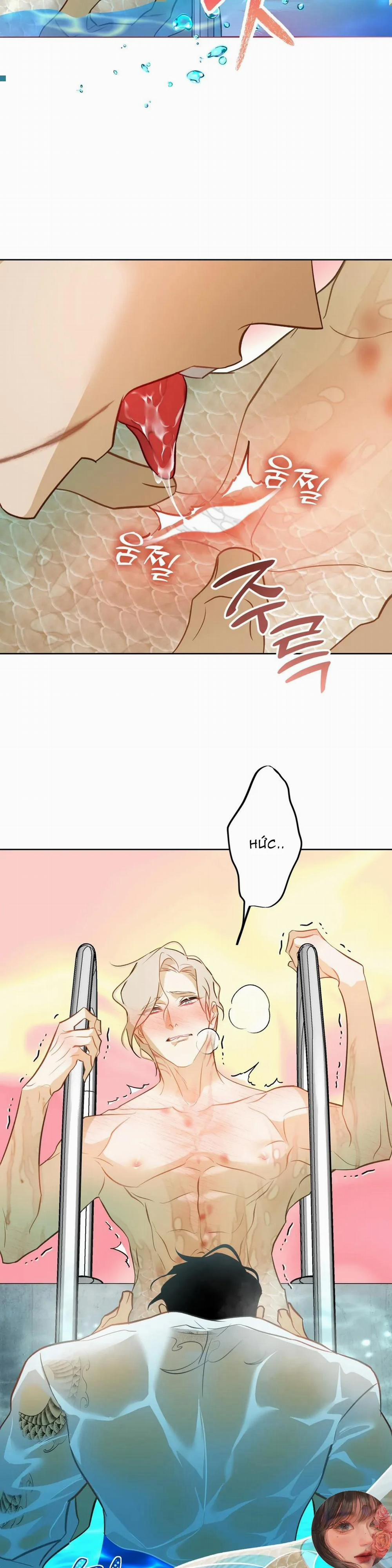 Tình Đầu Của Anh Chủ Quán Sashimi Là Người Cá 6 trang 3