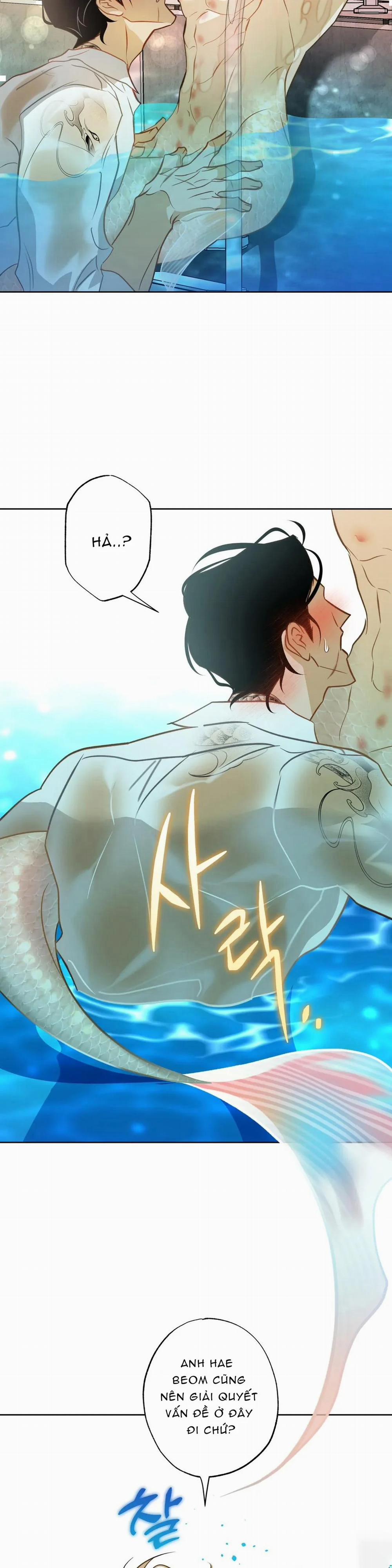 Tình Đầu Của Anh Chủ Quán Sashimi Là Người Cá 6 trang 6