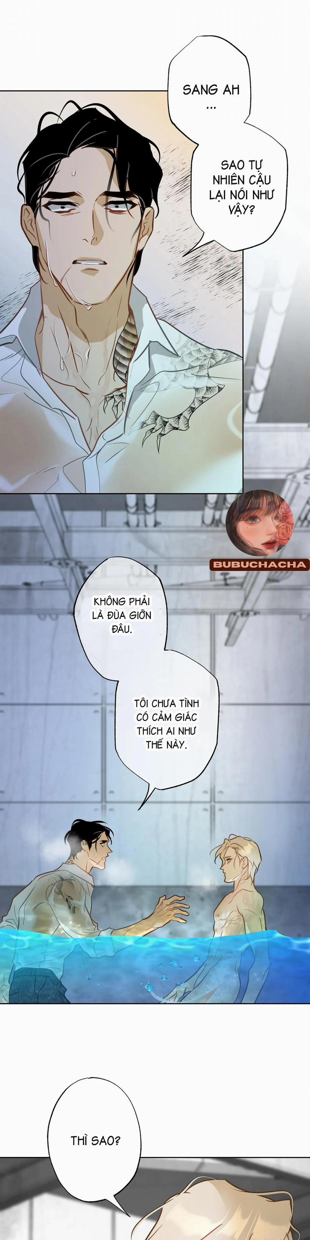 Tình Đầu Của Anh Chủ Quán Sashimi Là Người Cá 7 trang 0