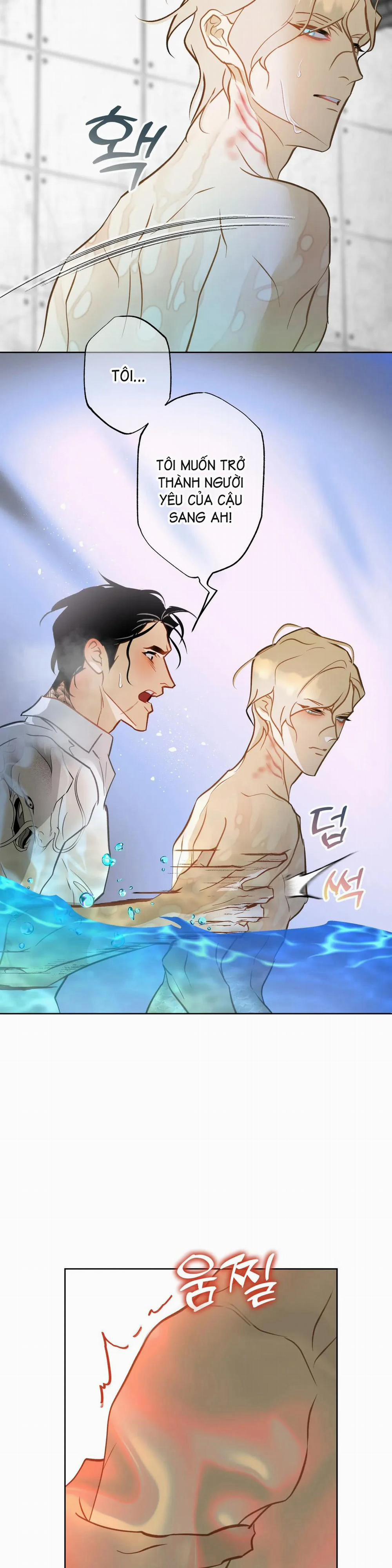 Tình Đầu Của Anh Chủ Quán Sashimi Là Người Cá 7 trang 1