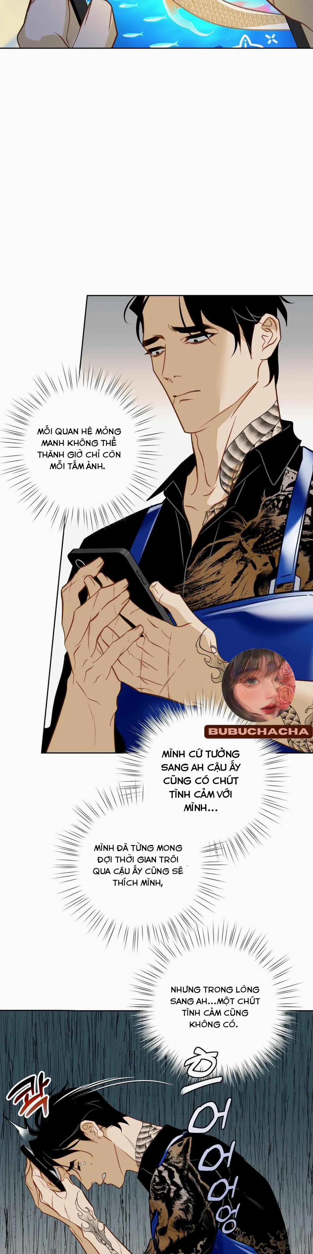 Tình Đầu Của Anh Chủ Quán Sashimi Là Người Cá 7 trang 17