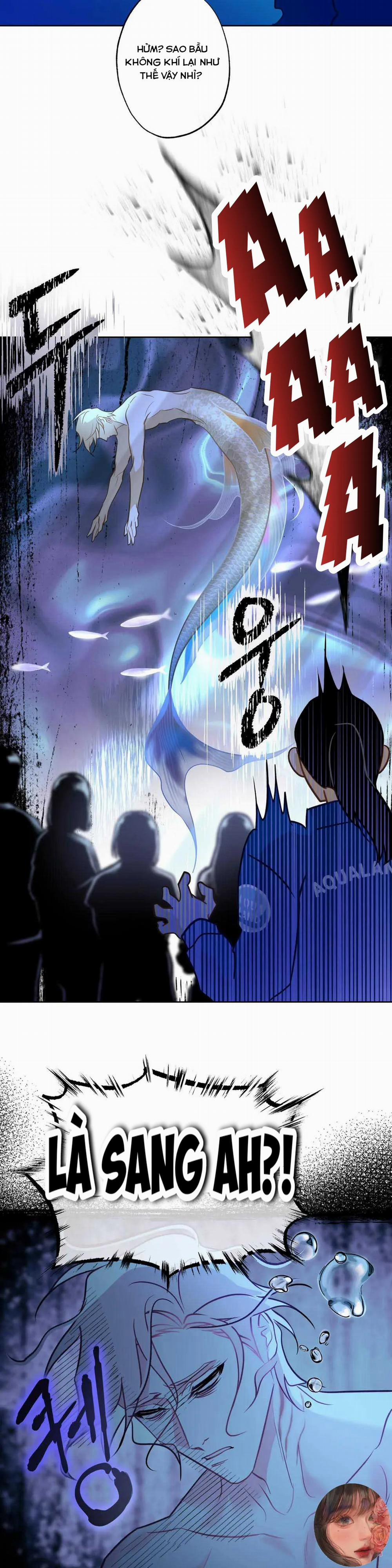 Tình Đầu Của Anh Chủ Quán Sashimi Là Người Cá 7 trang 22