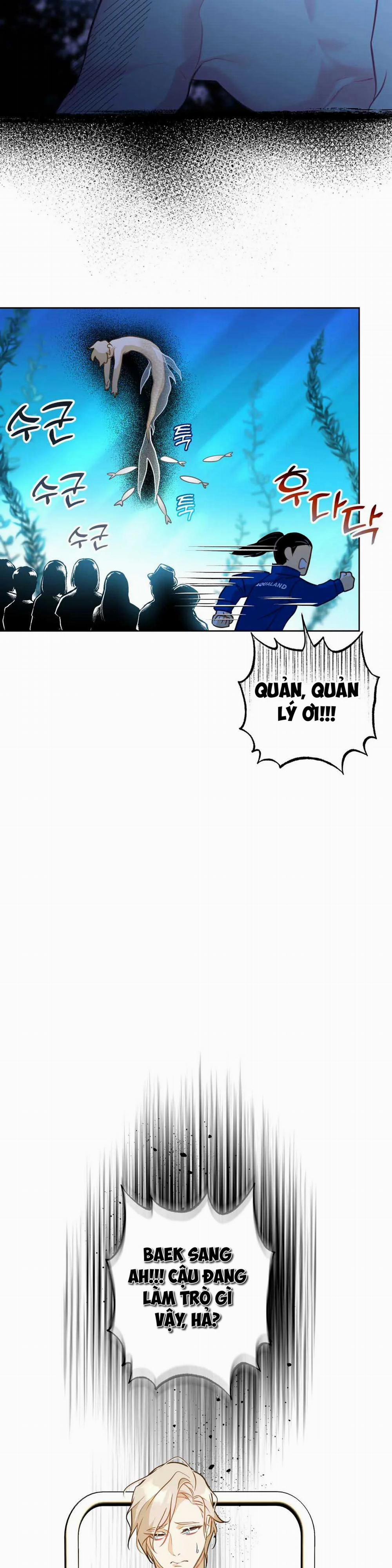 Tình Đầu Của Anh Chủ Quán Sashimi Là Người Cá 7 trang 23