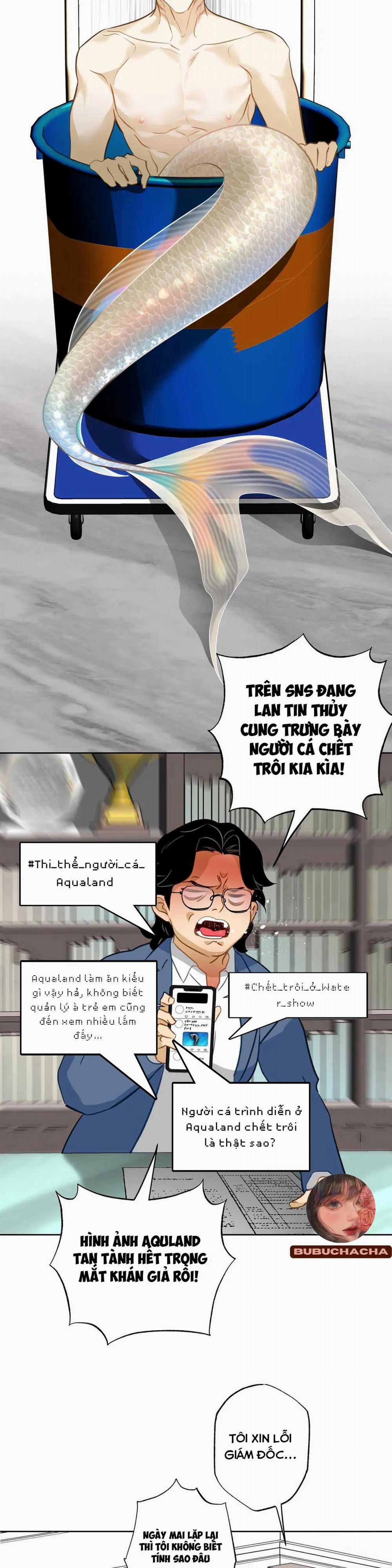 Tình Đầu Của Anh Chủ Quán Sashimi Là Người Cá 7 trang 24