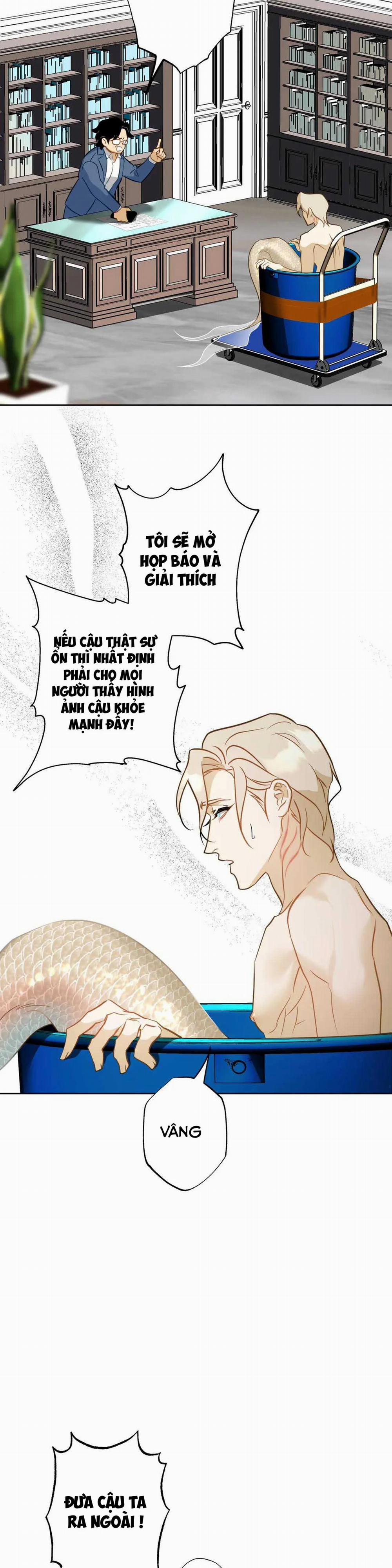 Tình Đầu Của Anh Chủ Quán Sashimi Là Người Cá 7 trang 25