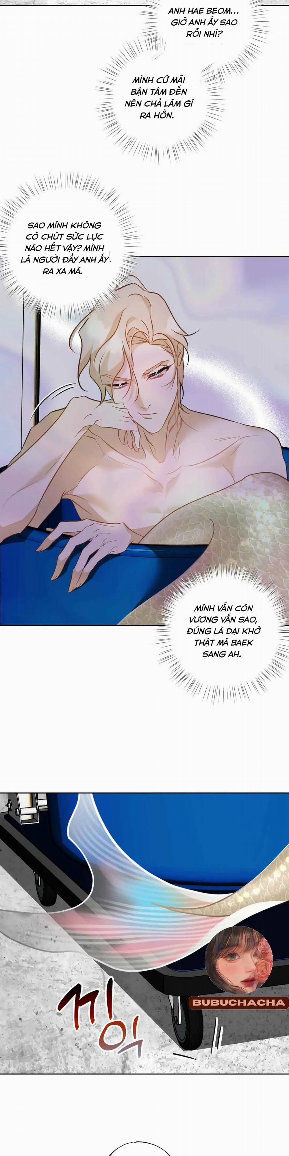 Tình Đầu Của Anh Chủ Quán Sashimi Là Người Cá 7 trang 27