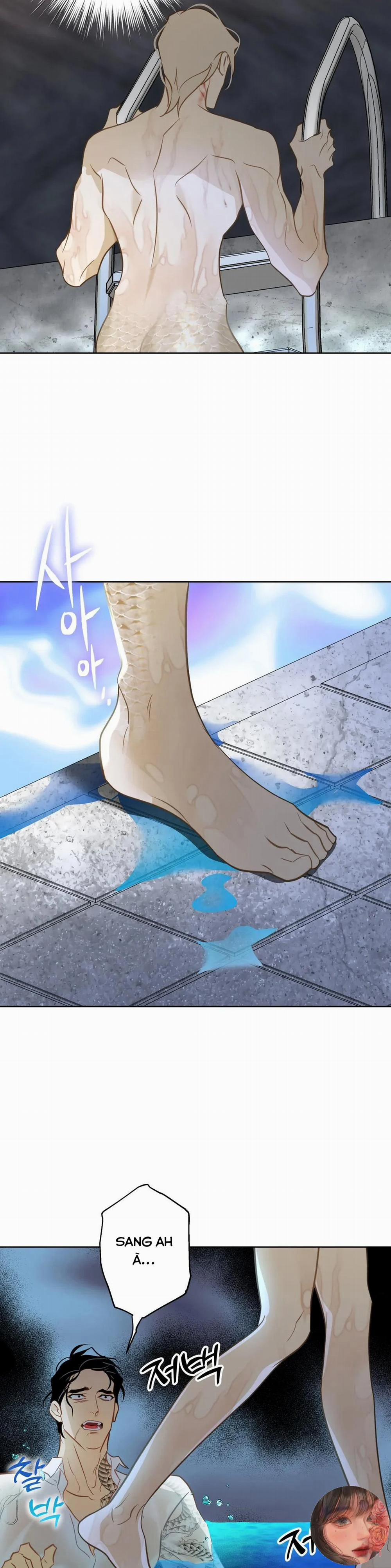 Tình Đầu Của Anh Chủ Quán Sashimi Là Người Cá 7 trang 7