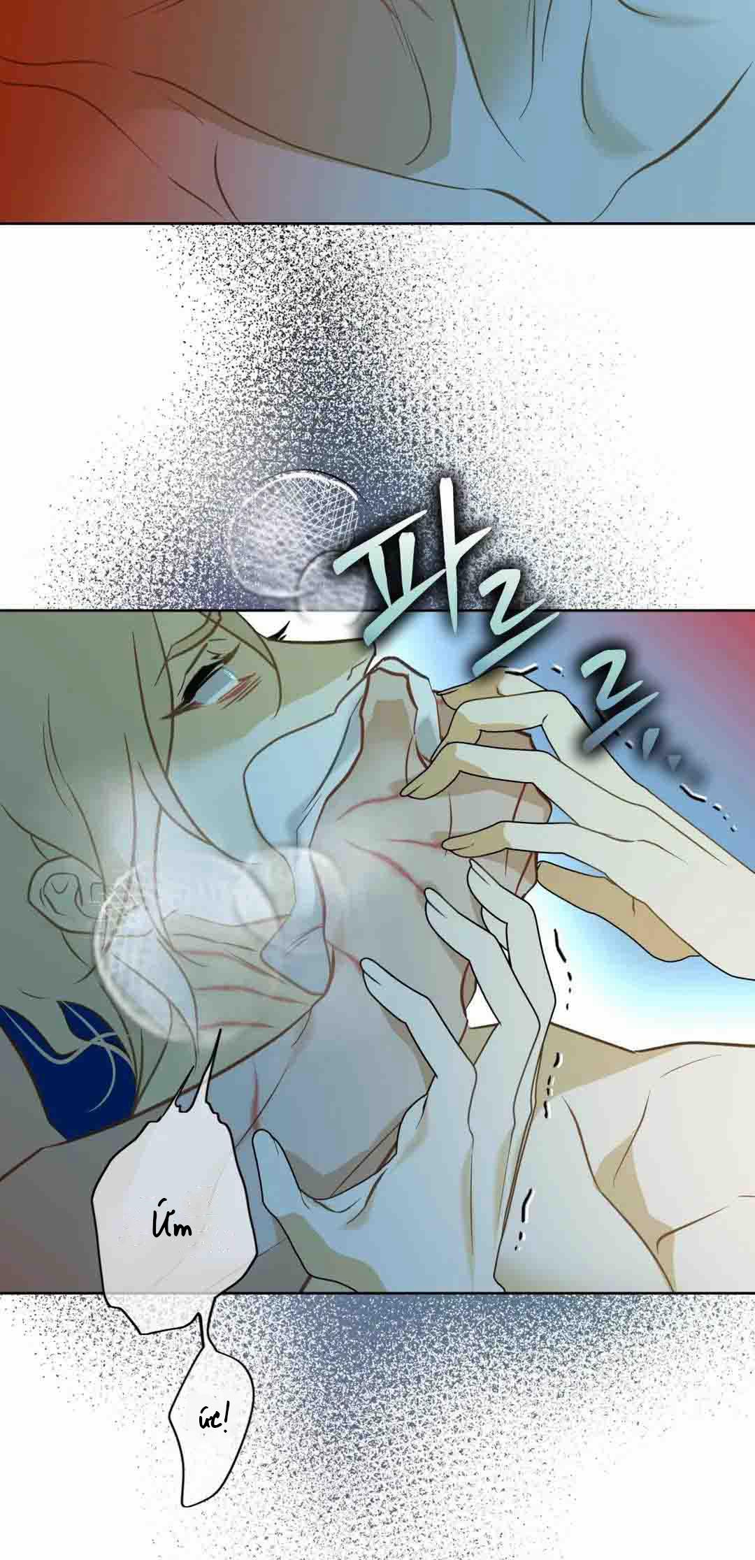 Tình Đầu Của Anh Chủ Quán Sashimi Là Người Cá 8 trang 2