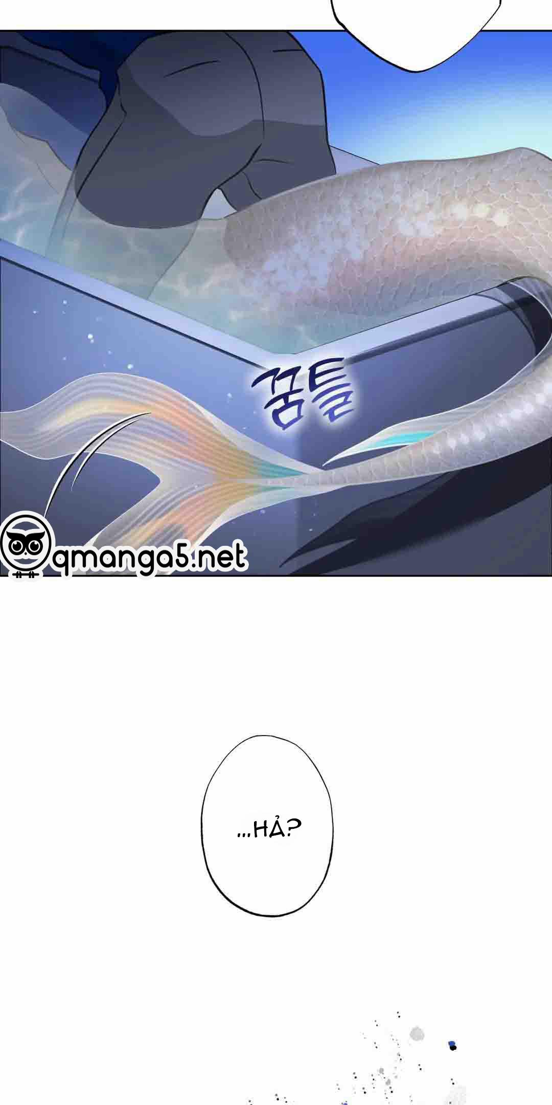 Tình Đầu Của Anh Chủ Quán Sashimi Là Người Cá 8 trang 58