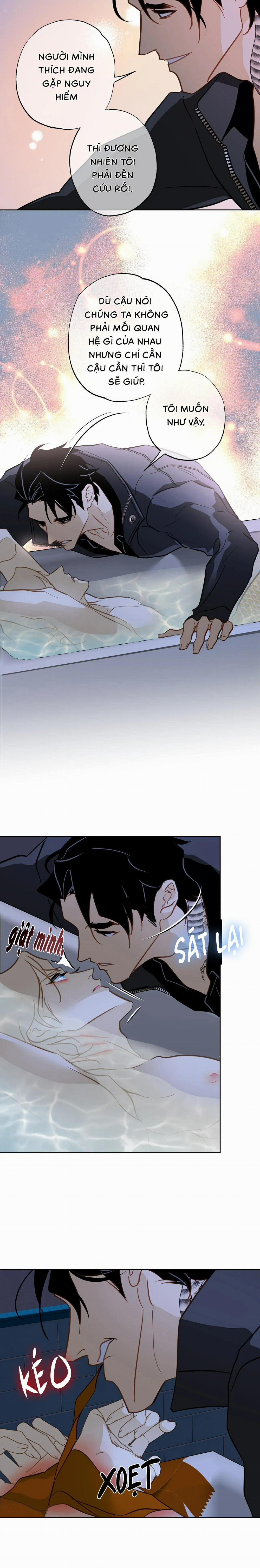 Tình Đầu Của Anh Chủ Quán Sashimi Là Người Cá 9 trang 3