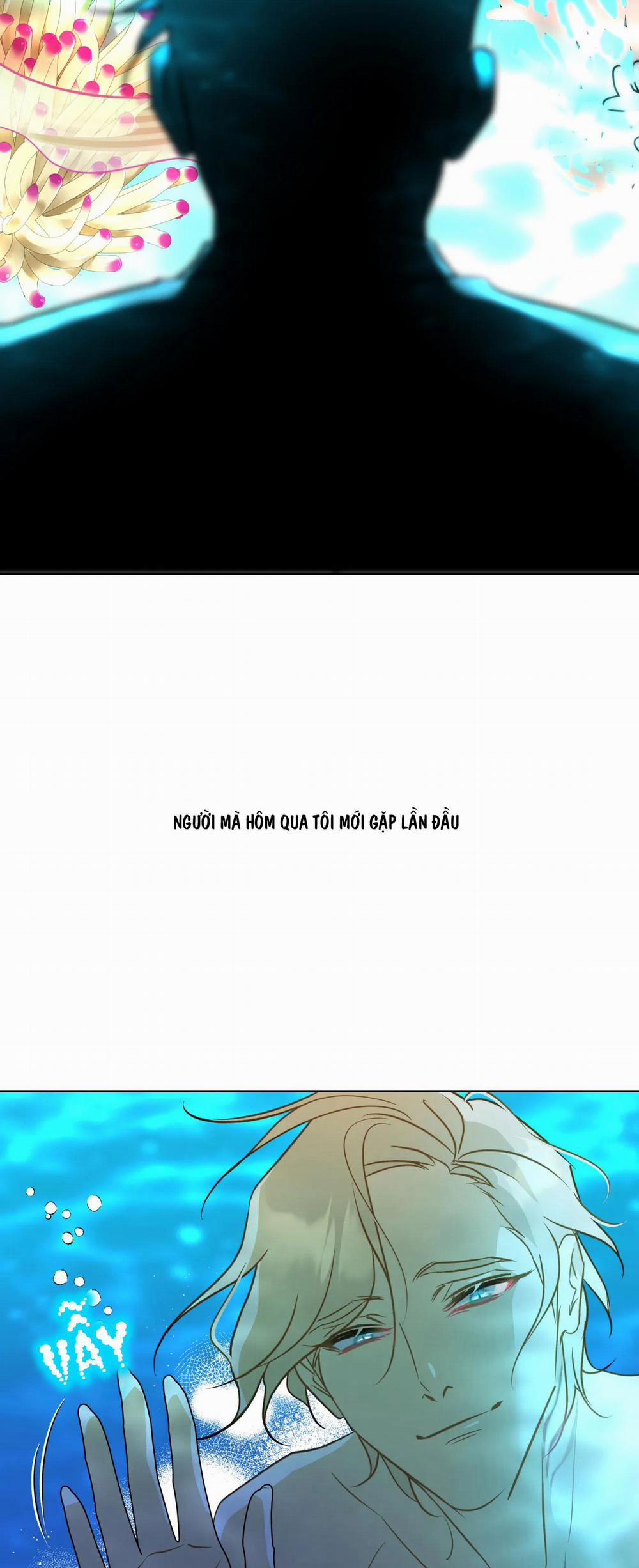 Tình đầu của chủ quán gỏi cá là nhân ngư 1 trang 51