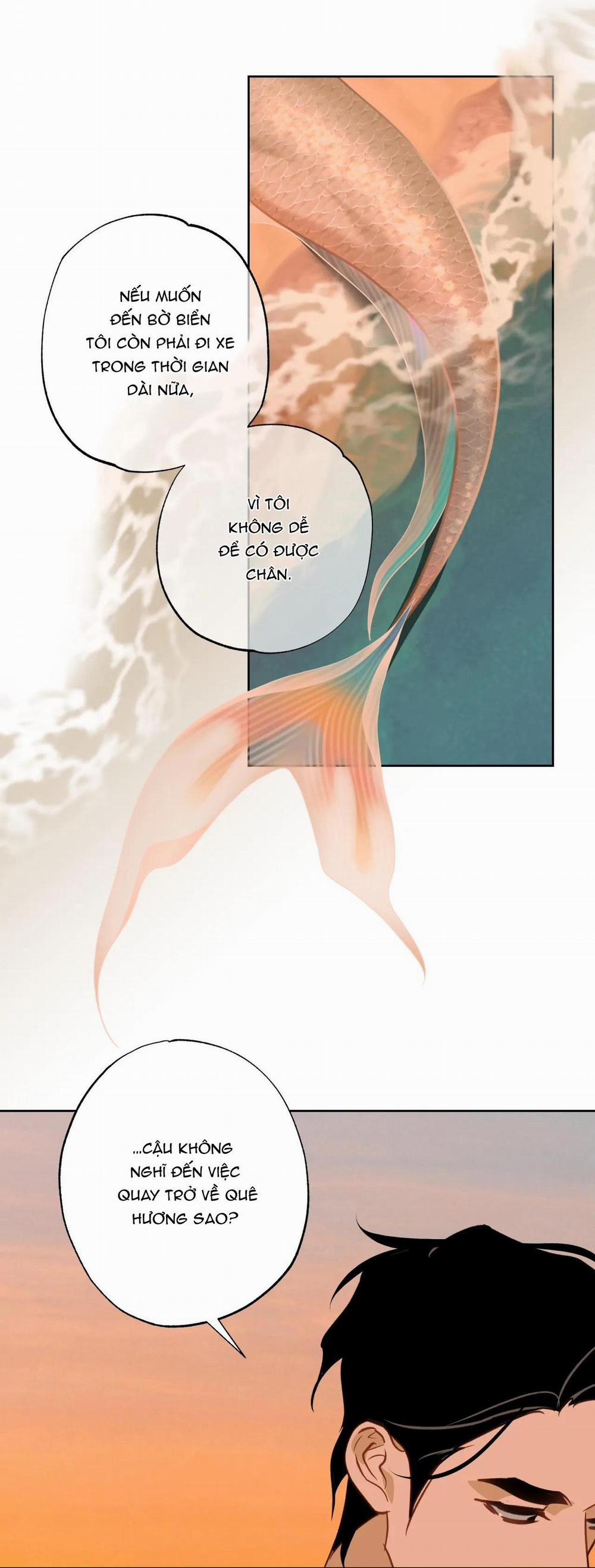 Tình đầu của chủ quán gỏi cá là nhân ngư 15 trang 29
