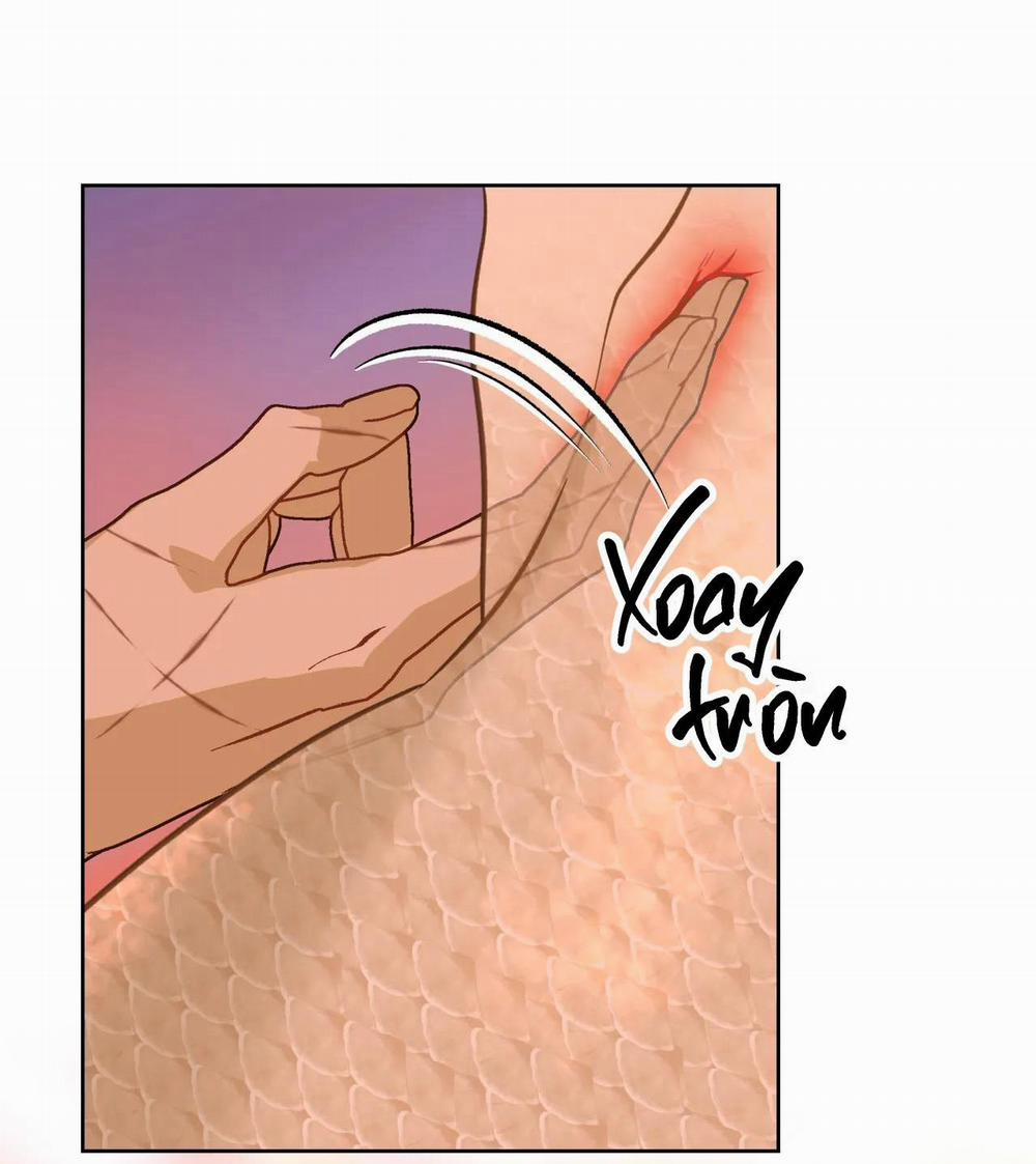 Tình đầu của chủ quán gỏi cá là nhân ngư 16 trang 15