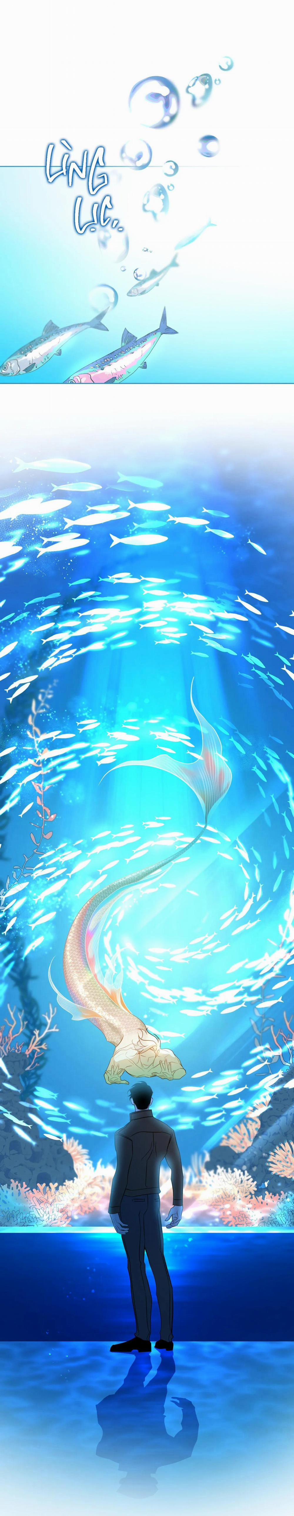 Tình đầu của chủ quán gỏi cá là nhân ngư 5 trang 19