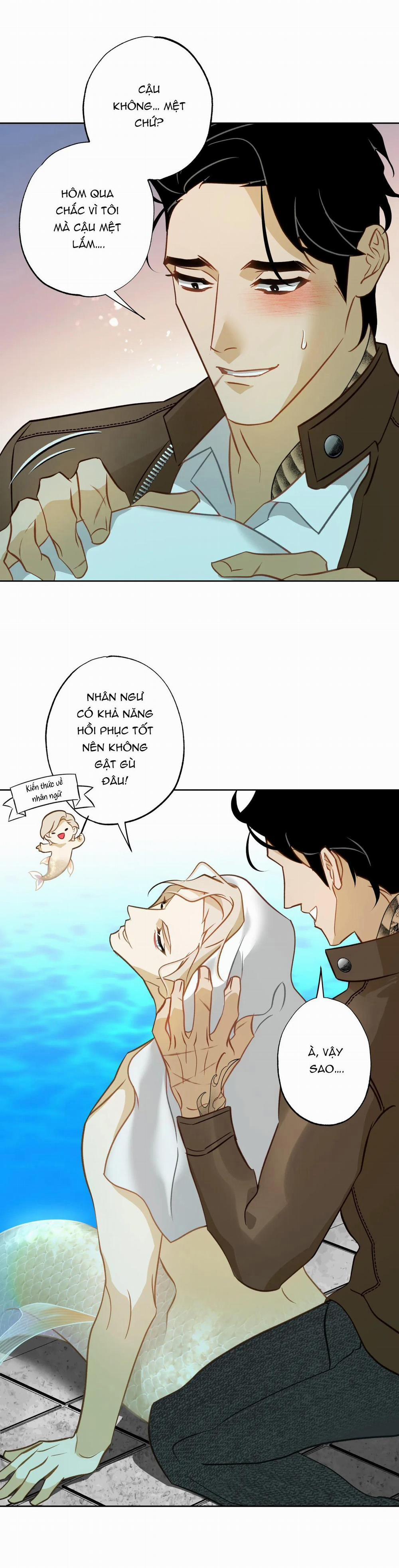 Tình đầu của chủ quán gỏi cá là nhân ngư 5 trang 23