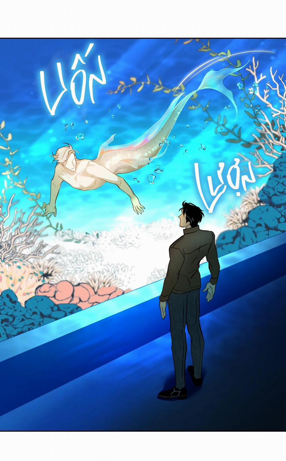 Tình đầu của chủ quán gỏi cá là nhân ngư 5 trang 3