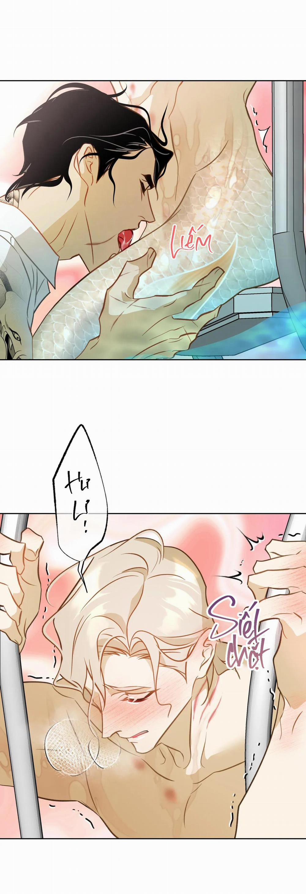 Tình đầu của chủ quán gỏi cá là nhân ngư 6 H++ trang 2