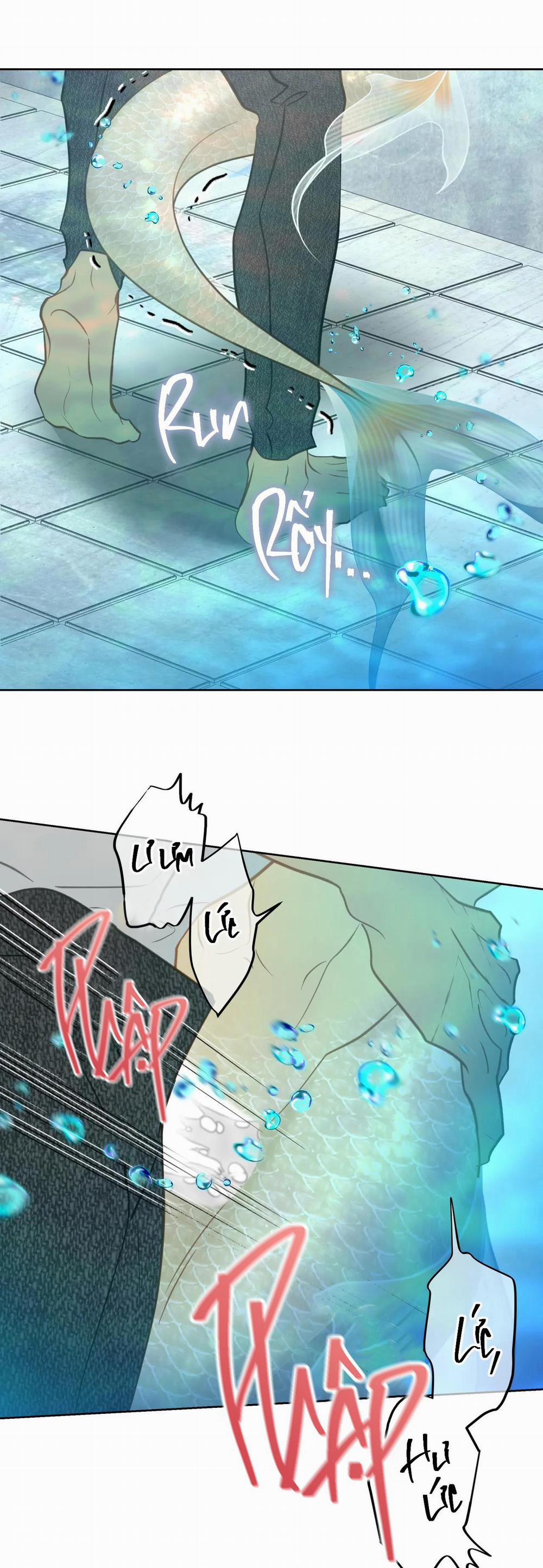 Tình đầu của chủ quán gỏi cá là nhân ngư 6 H++ trang 40