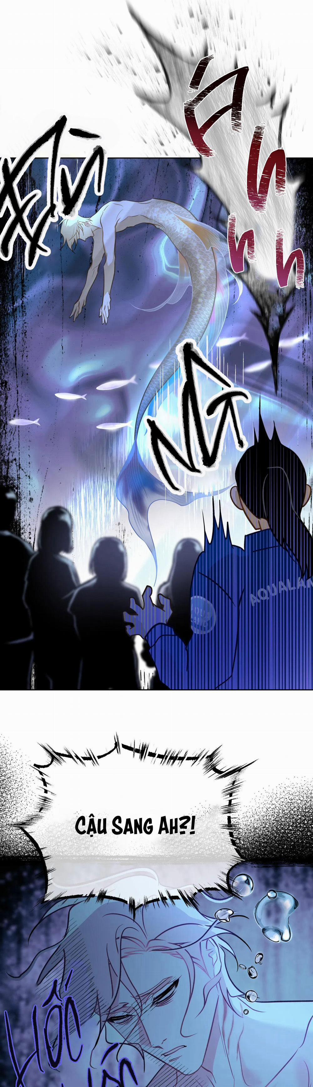 Tình đầu của chủ quán gỏi cá là nhân ngư 7 trang 25