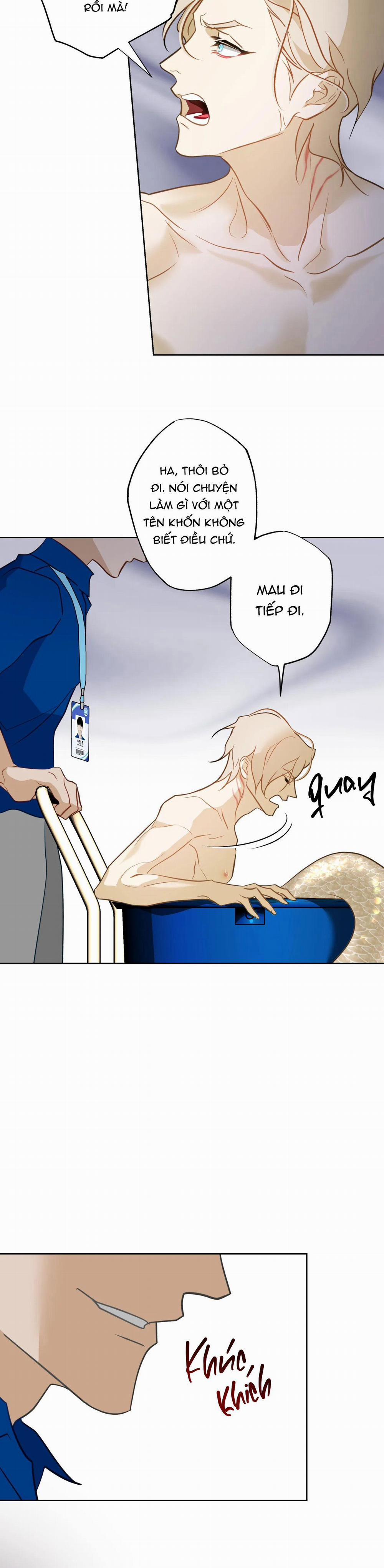 Tình đầu của chủ quán gỏi cá là nhân ngư 7 trang 33