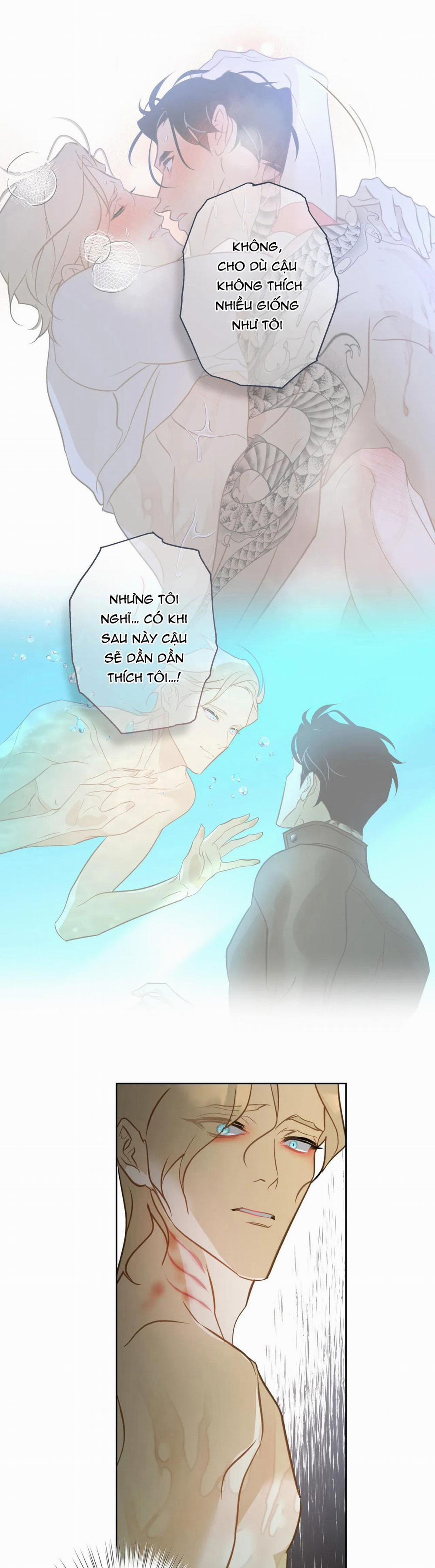 Tình đầu của chủ quán gỏi cá là nhân ngư 7 trang 5