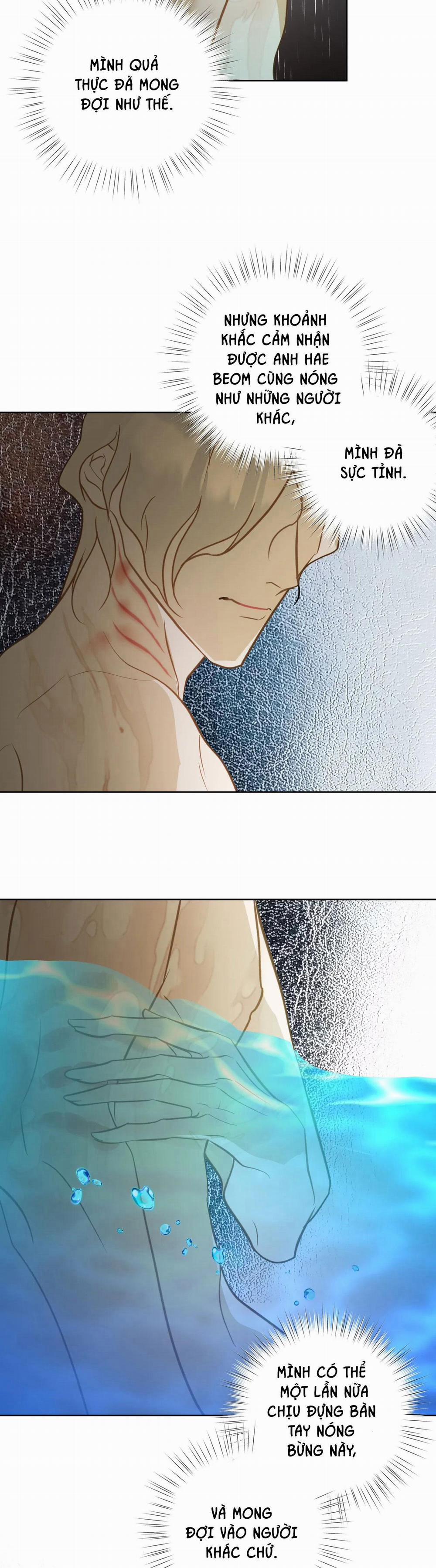 Tình đầu của chủ quán gỏi cá là nhân ngư 7 trang 6