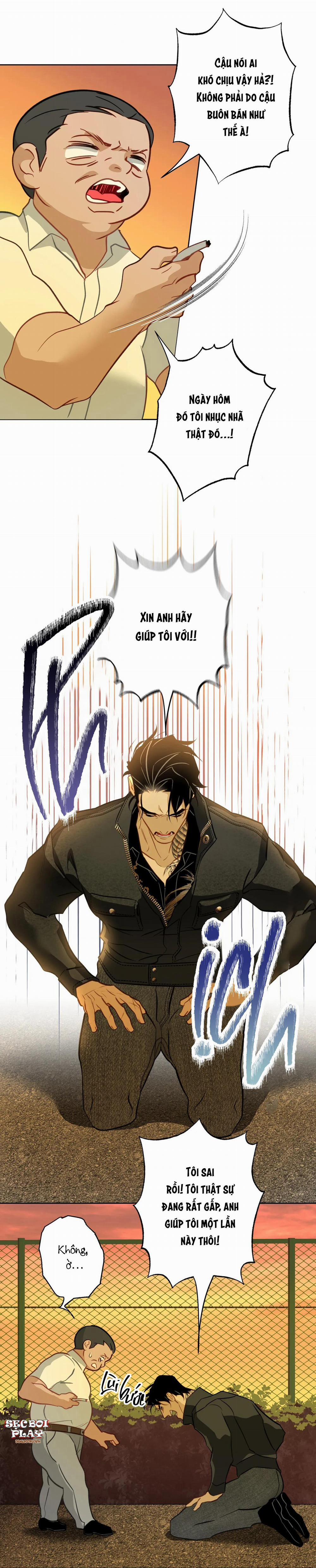 Tình đầu của chủ quán gỏi cá là nhân ngư 8 trang 31