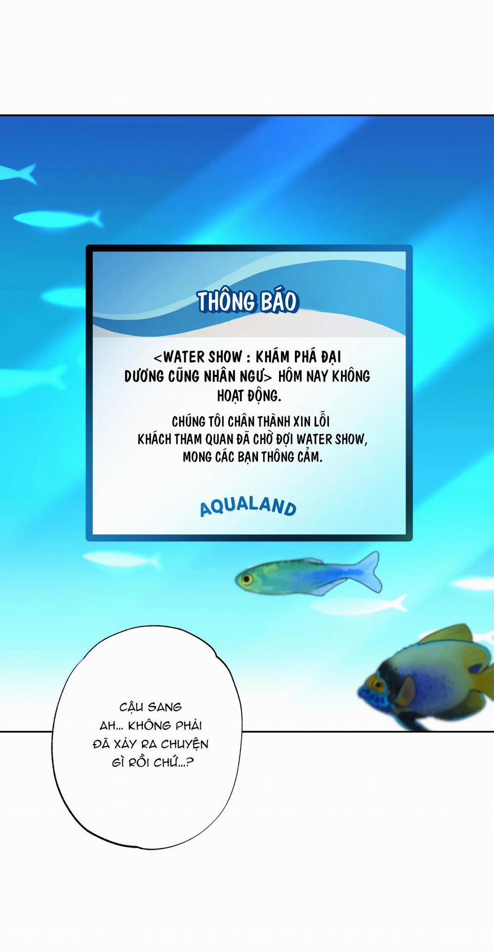 Tình đầu của chủ quán gỏi cá là nhân ngư 8 trang 7