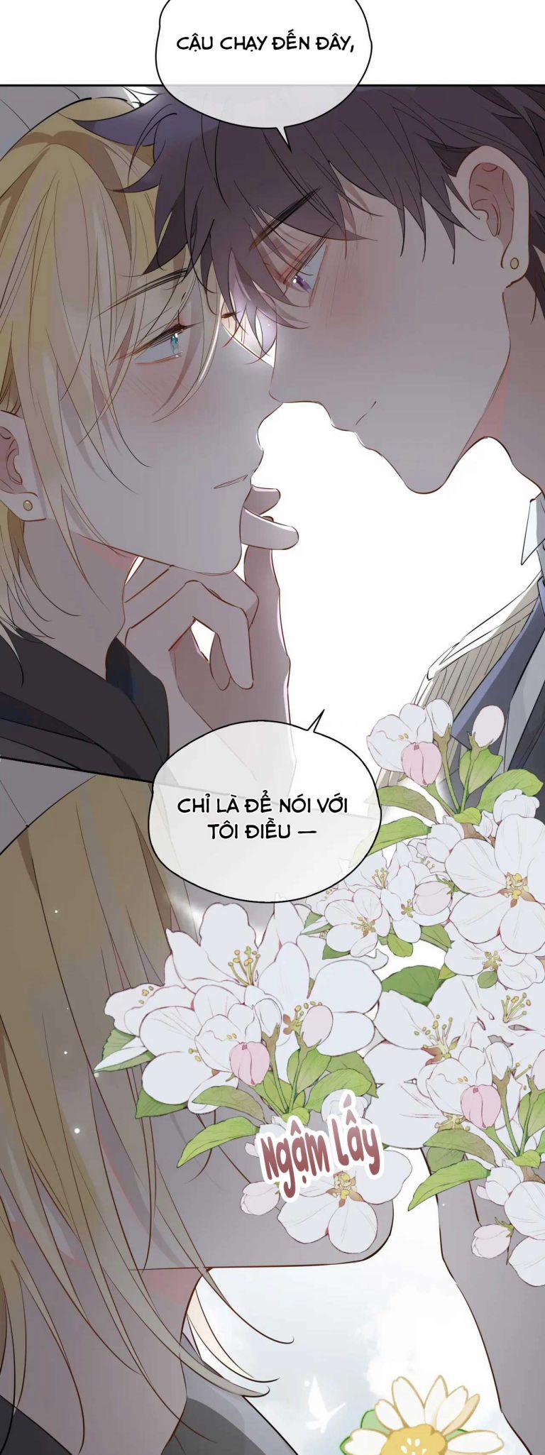 Tình Đầu Của Hoàng Thái Tử 66 trang 26