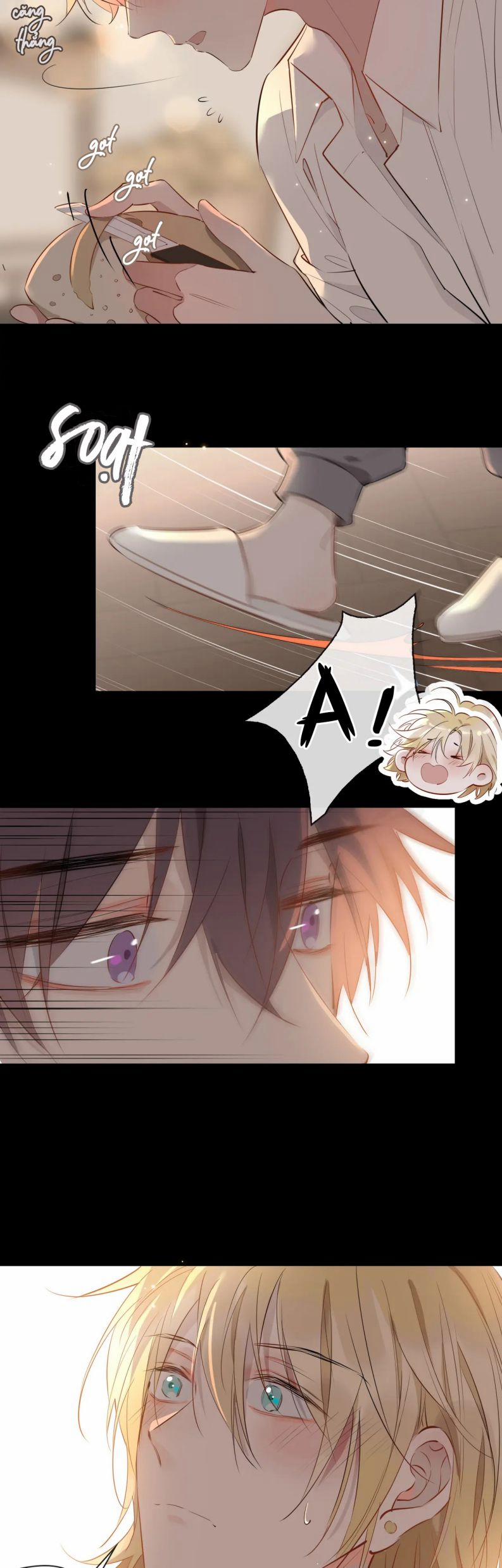 Tình Đầu Của Hoàng Thái Tử 74 trang 8