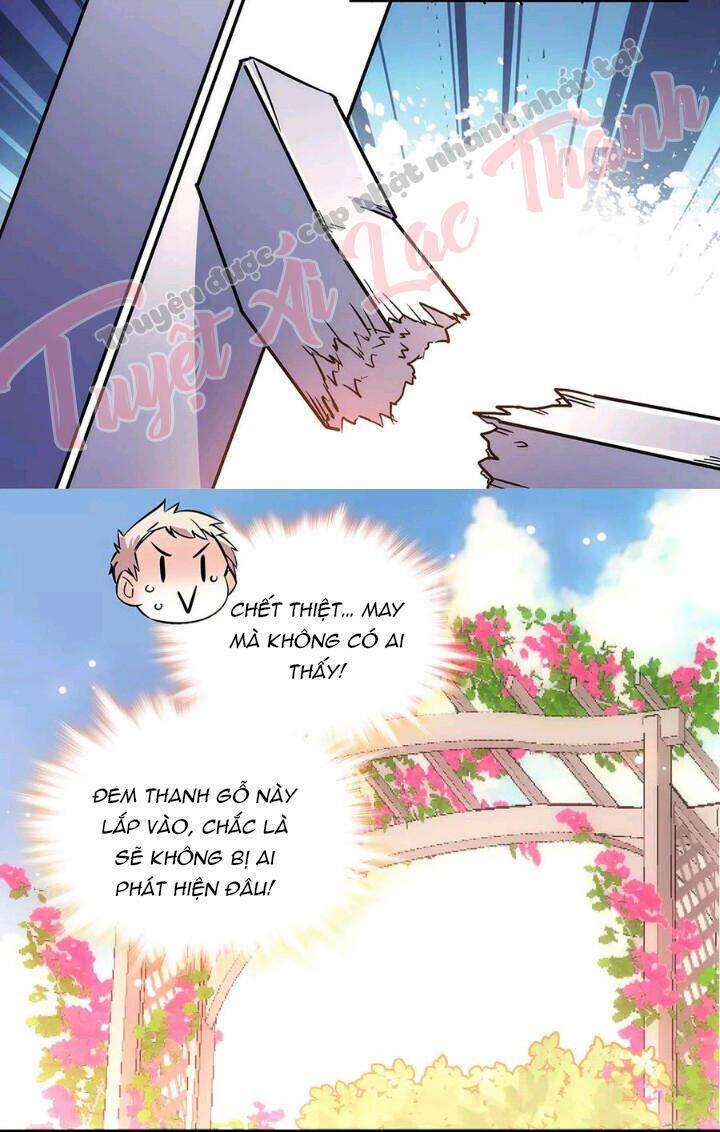 Tình Đầy Chông Gai 146 trang 13