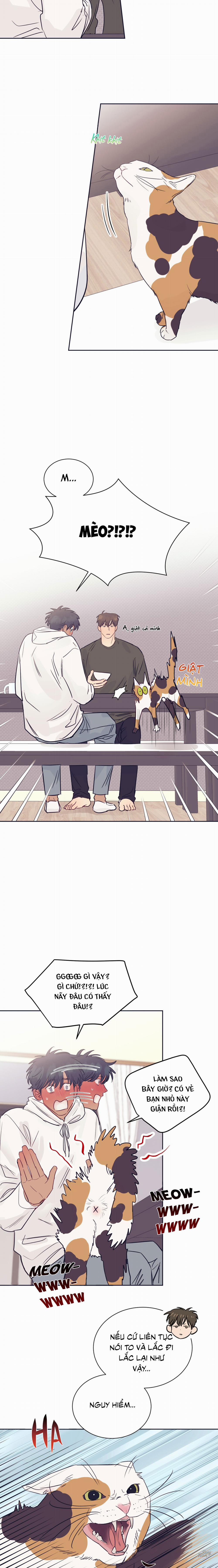 Tình Đẹp Không Vẹn Nguyên 19 trang 4